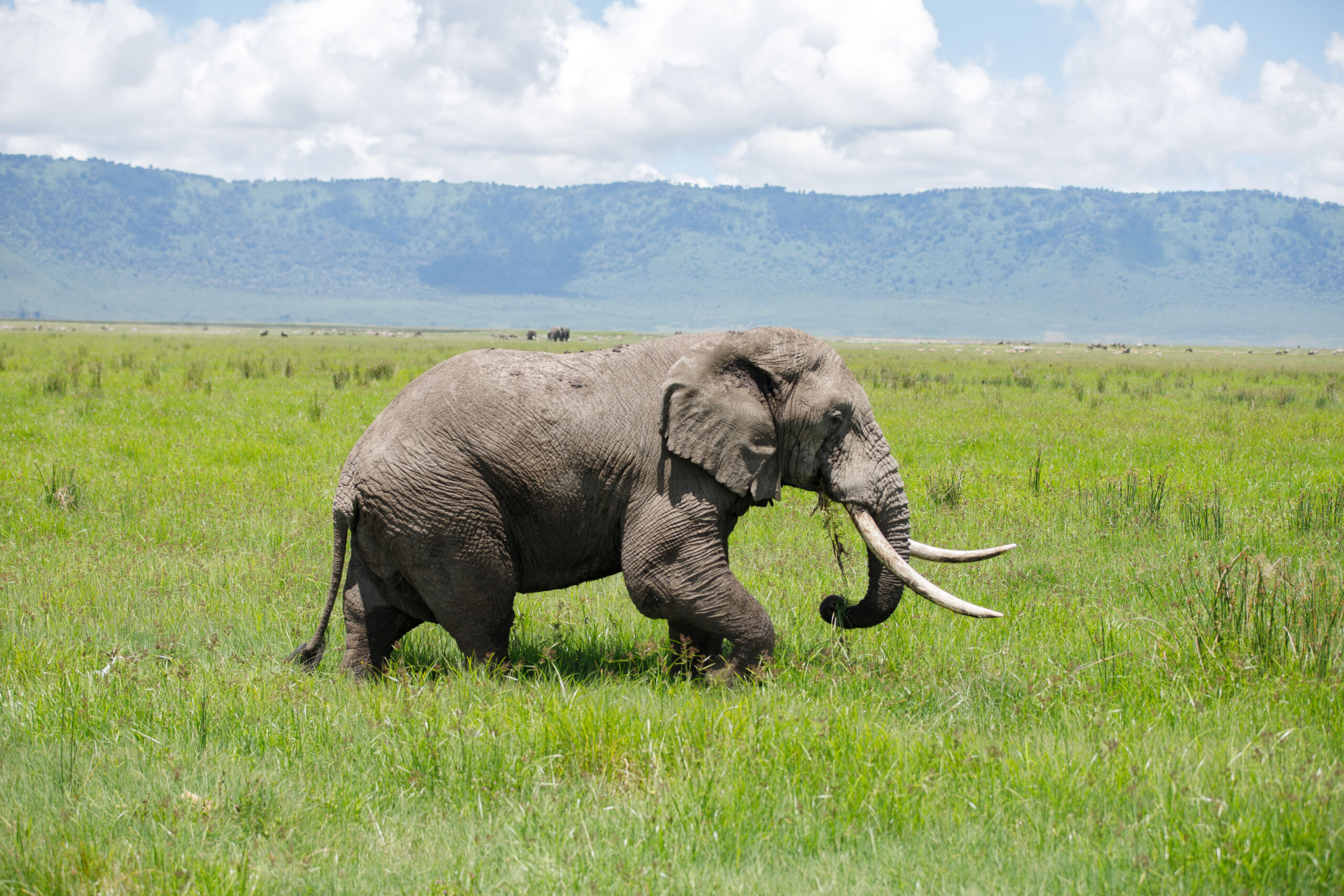 3-Day Serengeti & Ngorongoro Adventure Safari
