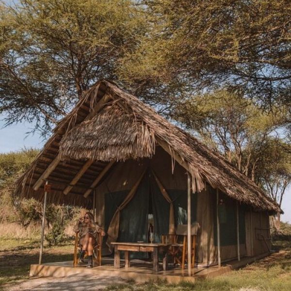 Tarangire Safari Lodge
