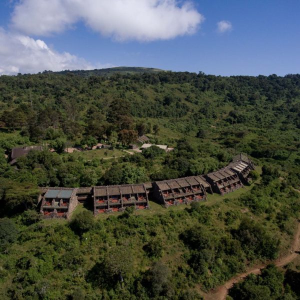 serenangorongoro-236